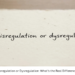 Disregulation or Dysregulation: What’s the Real Difference?