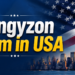 Zingyzon Com in USA