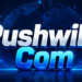 Pushwiki Com